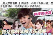 团宠吃瓜娱乐圈小说,团宠小仙女与娱乐圈的甜蜜瓜田