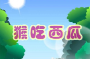 娱乐吃瓜 小故事大全视频,小故事大全视频精选集